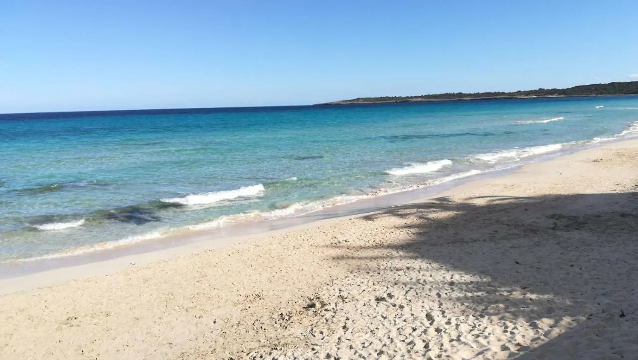 Meerblick Apartment Sabina Cala Millor   Cala Millor (Mallorca)